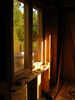 IMG_1769_28960x128029.jpg
